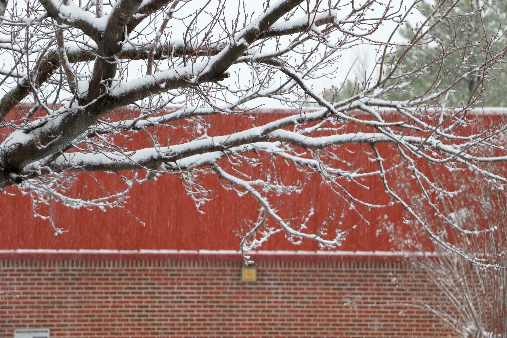 Wagoner County Snow Day